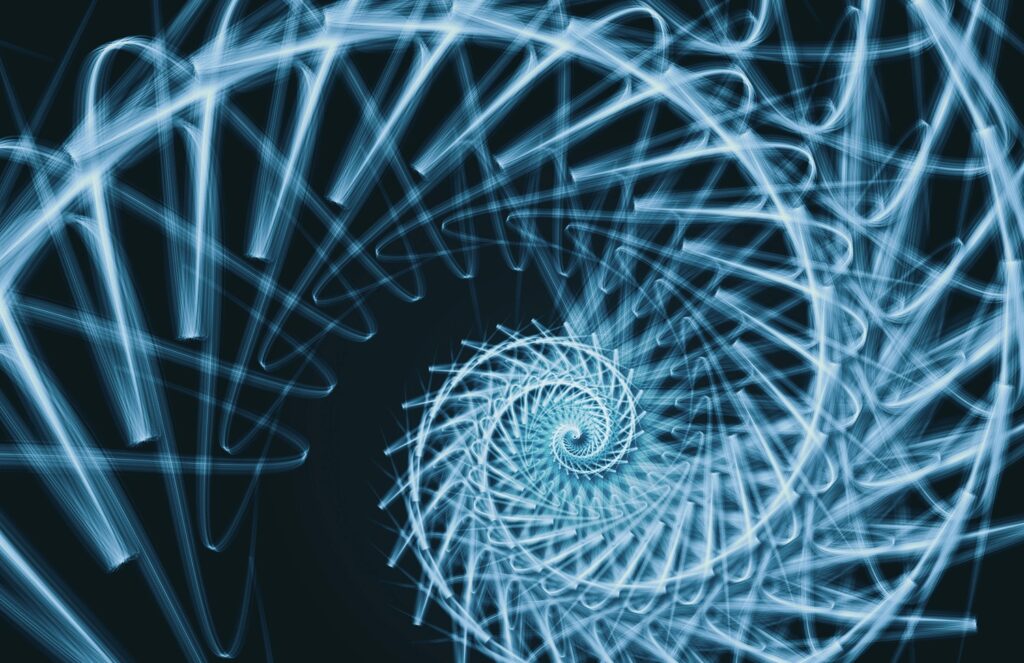 Infrastructure Company — Stakeholder Network System